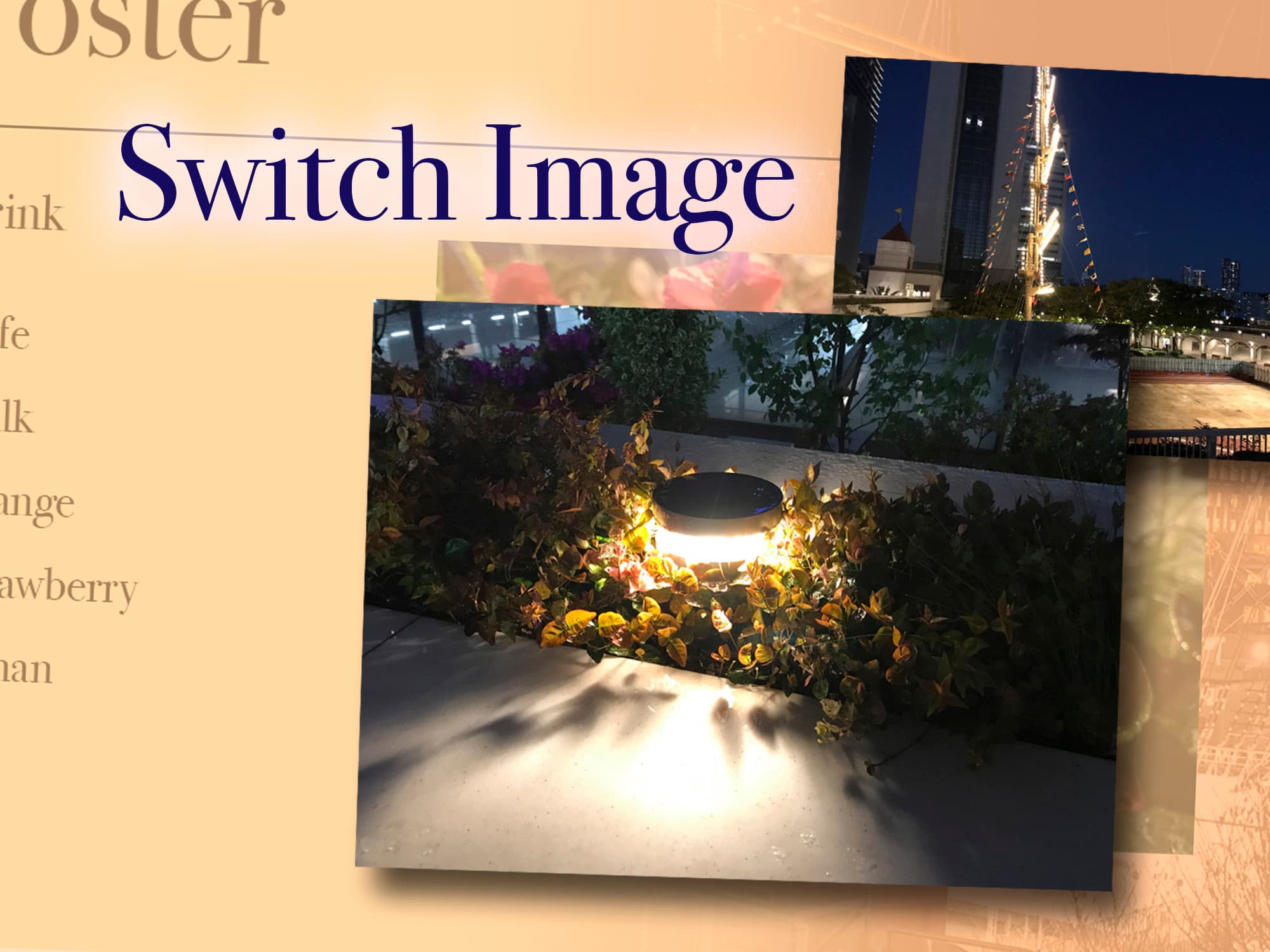 Extension Switchimage